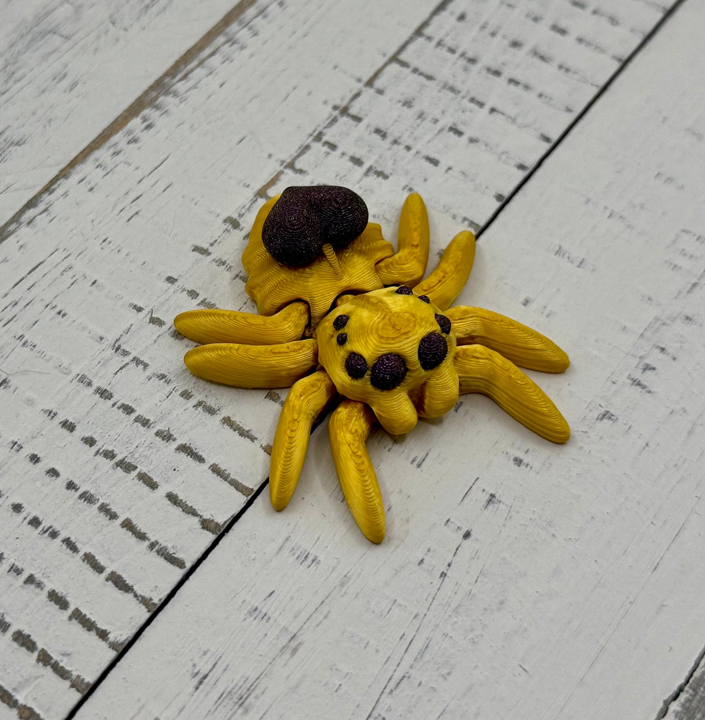 Jumping Spiders