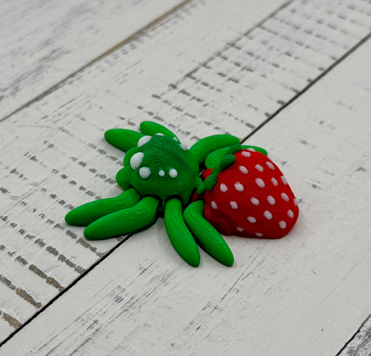 Jumping Spiders