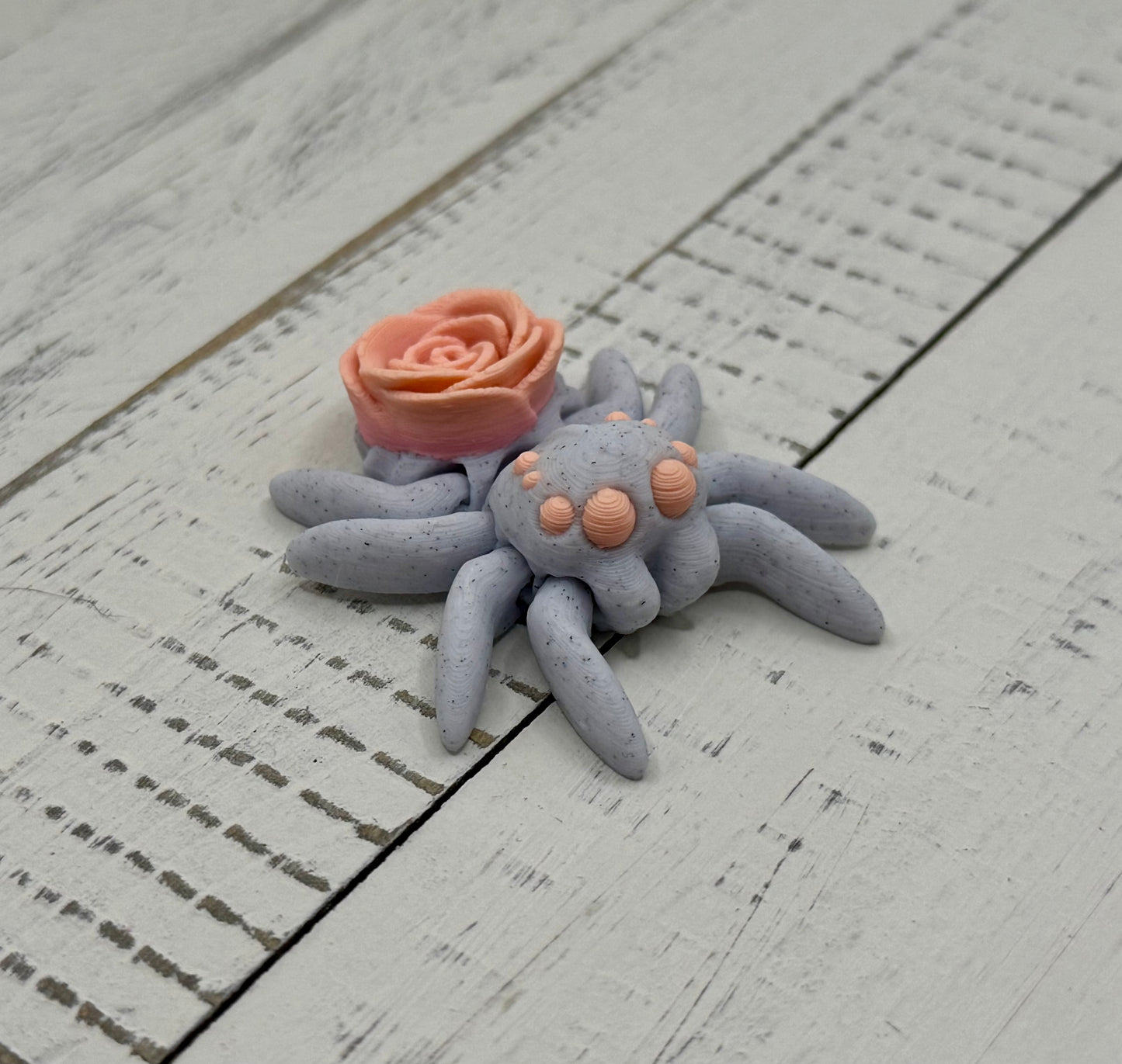 Jumping Spiders